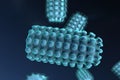 Rabies virus illustration Royalty Free Stock Photo