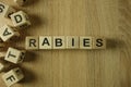 Rabies word from wooden blocks