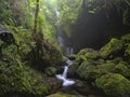Waterfall Poco das Pulgas , Madeira in March