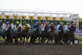 RAC: Kieren Fallon return to the saddle Royalty Free Stock Photo