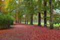 Racconigi park autumnal view. Royalty Free Stock Photo