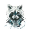 Raccoon. Abstract animal portrait. Watercolour illustration on white background.