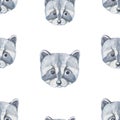 Raccoon animals cute muzzle face cartoon watercolor hand drawn Royalty Free Stock Photo