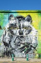 Raccoon art design paint