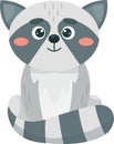 Raccoon Baby Animal