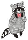 Raccoon with a bow Royalty Free Stock Photo