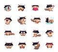 Raccoon Cartoon Character Icons Big Set