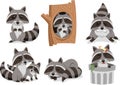 Raccoon cartoon Set