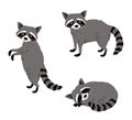 Raccoon cartoon