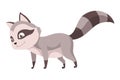 Raccoon character emotion. Funny wild coon pose or cute mammal animal, cartoon vector. Character emoji design isolated