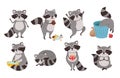 Raccoon character. Funny coon in trash, wild raccoons in different poses and cute mammal animal mascot cartoon vector