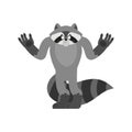 Raccoon confused oops. Racoon perplexed emotions. Coon surprise. Vector illustration