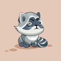 Raccoon cub squints