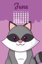 Raccoon cute calendar cartoon Royalty Free Stock Photo