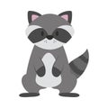 raccoon cute illustration