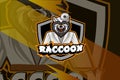 Raccoon e sport logo vector