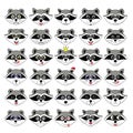 raccoon gargle, head, facial expression and emotion illustration on white background in set