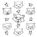 Raccoon gargle, head, facial expression and emotion illustration on white background in set.
