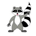 Raccoon gargle illustration on white background in vector