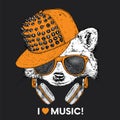 Raccoon in glasses, a cap and headphones. Vector illustration. The animal is a hipster. Music, fashion and style.