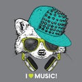 Raccoon in glasses, a cap and headphones. Vector illustration. The animal is a hipster. Music, fashion and style.