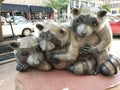 Raccoon Group