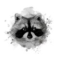 Raccoon head Hand drawn illustration