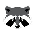 Raccoon head logo vector icon. Raccoon portrait. Cute muzzle of a raccoon. Vector illustration isolated Royalty Free Stock Photo