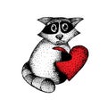 Raccoon-heart