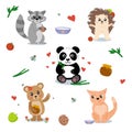 Raccoon, hedgehog, panda, bear, cat, vector Royalty Free Stock Photo