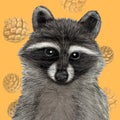 Raccoon illustration drawn in pen with digital color