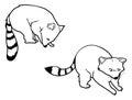 Raccoon outlines