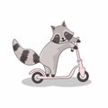 Raccoon Playing Scooters Cartoon Illustration