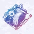 Raccoon portrait. Dreamy magic art. Night, nature, wicca symbol. Isolated vector illustration. Great outdoors, tattoo Royalty Free Stock Photo
