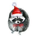 Raccoon in red hat Watercolor hand drawn illustration isolated on white background Royalty Free Stock Photo