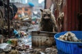 a raccoon rummaging through an open garbage can in an alley