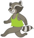 Raccoon running in sports t-shirt Royalty Free Stock Photo
