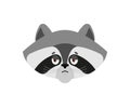 Raccoon sad emoji. Racoon sorrowful emotions. Coon dull. Vector illustration