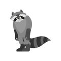 Raccoon sad. Racoon sorrowful emotions. Coon dull. Vector illustration