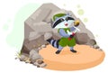 Raccoon scout geologist found rock copper ore Royalty Free Stock Photo