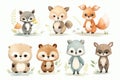 Raccoon set fox cartoon art drawing zoo character forest cute animals Royalty Free Stock Photo