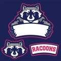 Raccoon in sport mascot style hold the blank space for text Royalty Free Stock Photo