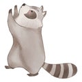 Raccoon is standing and climbing . Watercolor paint design . Cute animal cartoon character . Vector Royalty Free Stock Photo