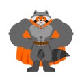 Raccoon superhero. Super Racoon in mask and raincoat. Strong Coon