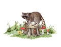 Raccoon on the tree stump. Hand drawn illustration. Forest wildlife scene. Cute raccoon standing on the tree stump with