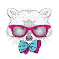 Raccoon vector. Hipster. Vector illustration for greeting card, poster, or print on clothes.