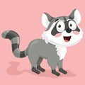 Raccoon Vector Illustration