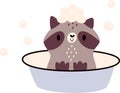 Raccoon Washing In Bowl