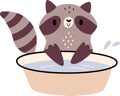 Raccoon Washing In Bowl