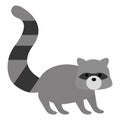 Raccoon wild animal vector illustration